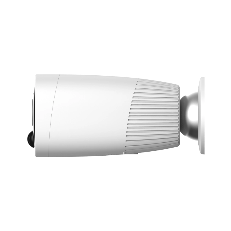 eagleeye4.webp