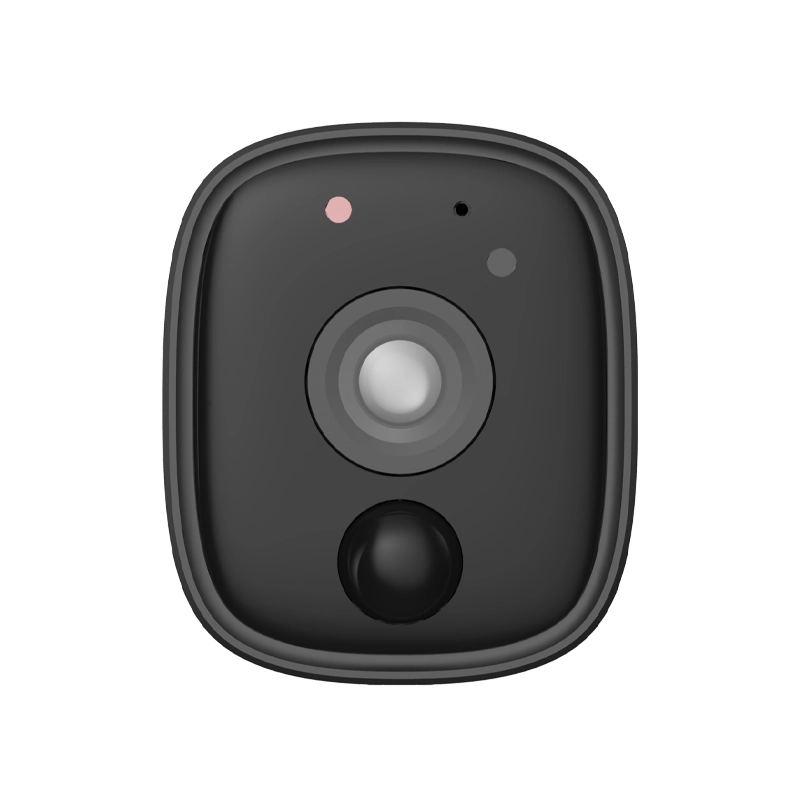eagleeye7.webp